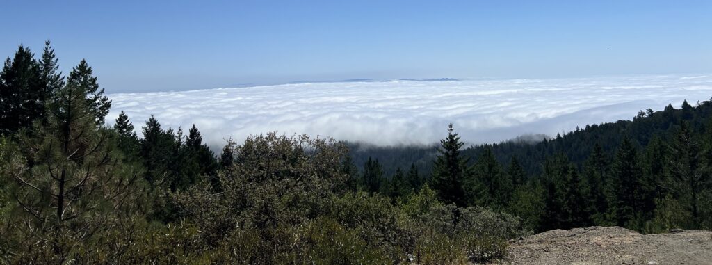 California Chronicles: Parks, Beaches & Family Fun